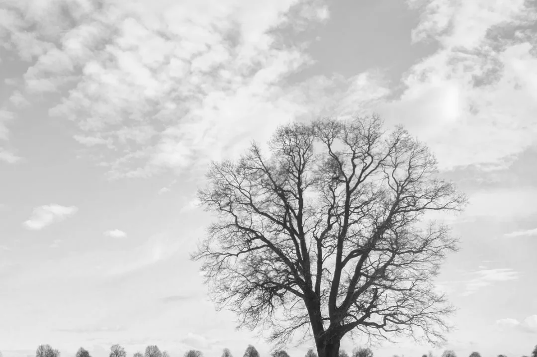 深入浅出理解Photoshop通道，学会调色和选区新技能