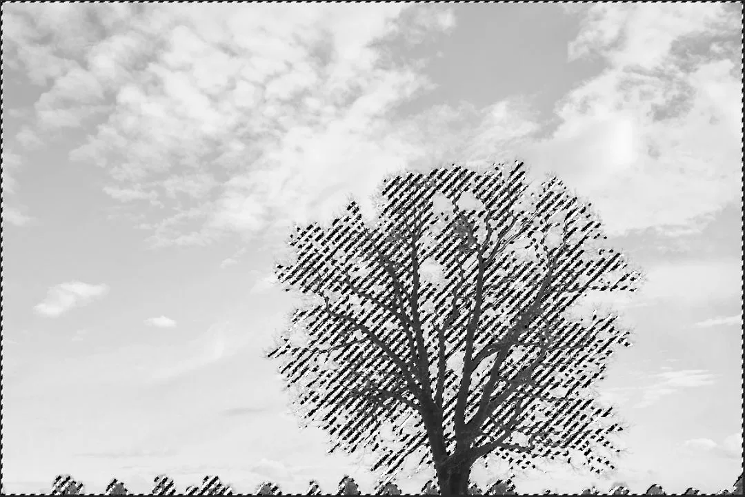 深入浅出理解Photoshop通道，学会调色和选区新技能
