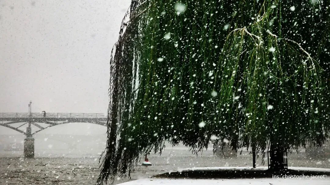 雨雪天这样拍更有质感！如何拍出清晰的雨点/雪花？