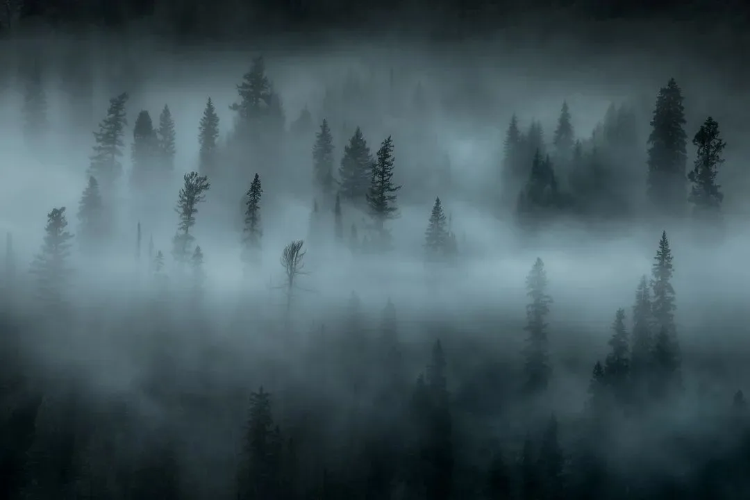 风光摄影高手对话 | Ryan Dyar：艺术创作应是自由的