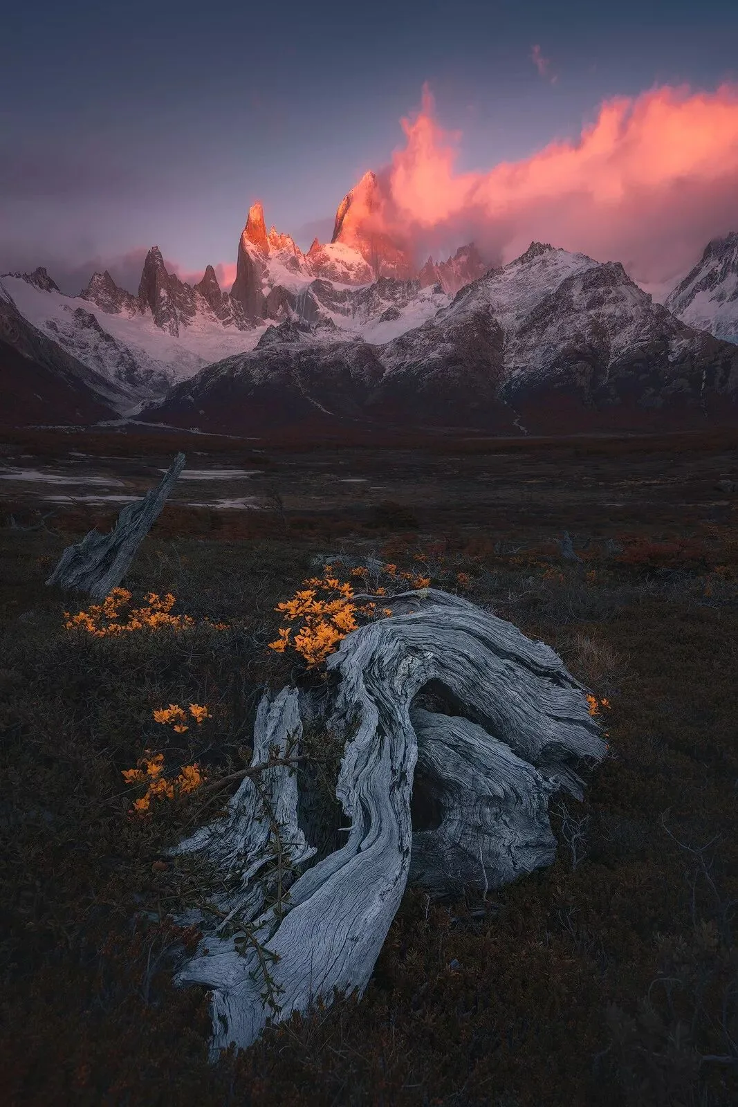 Selections, Channels, and Masks in PS: Their Relationship and Uses, Explained