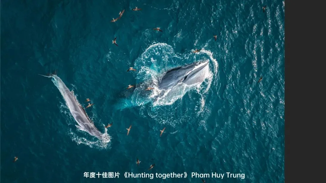 无人机还能拍人文？2023天空之城摄影大赛作品赏析！