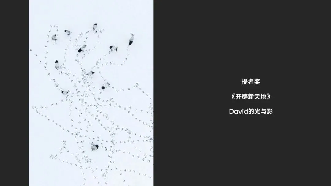 无人机还能拍人文？2023天空之城摄影大赛作品赏析！