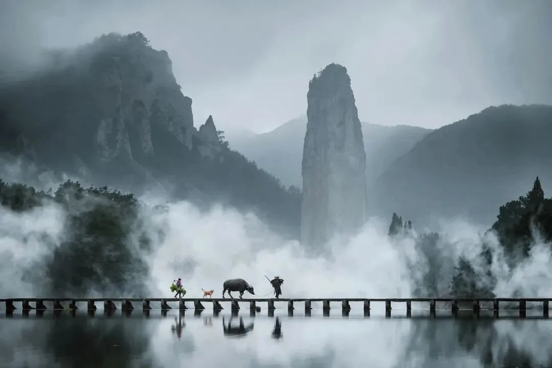 老农牵牛配人造晨雾，为什么这样的照片是没有灵魂的？