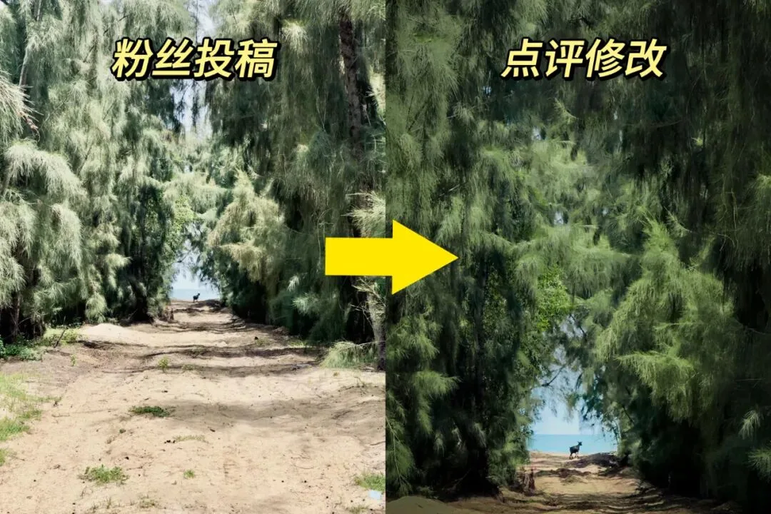 摄影要拍好真的需要减法！评论区投稿照片点评~