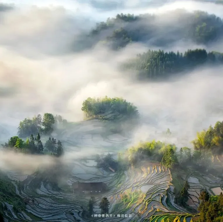 这些美景都在中国？太酷了吧！
