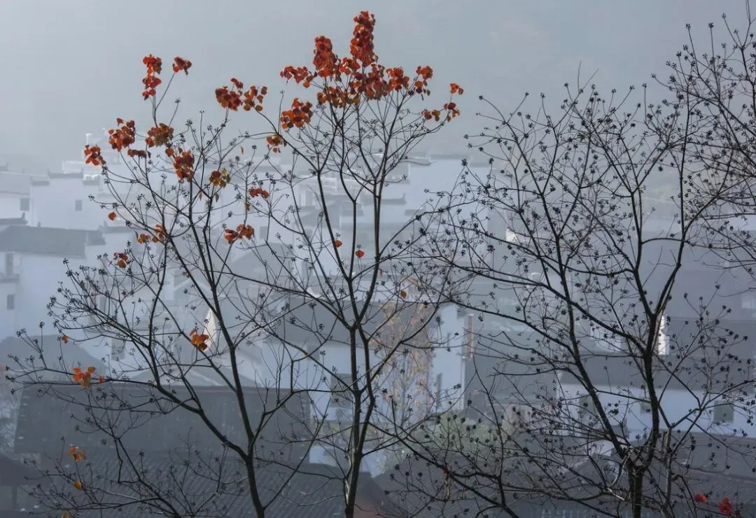 这些美景都在中国？太酷了吧！