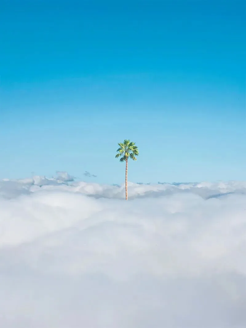 简直绝了！推荐3位把梦境融入风景的摄影师~