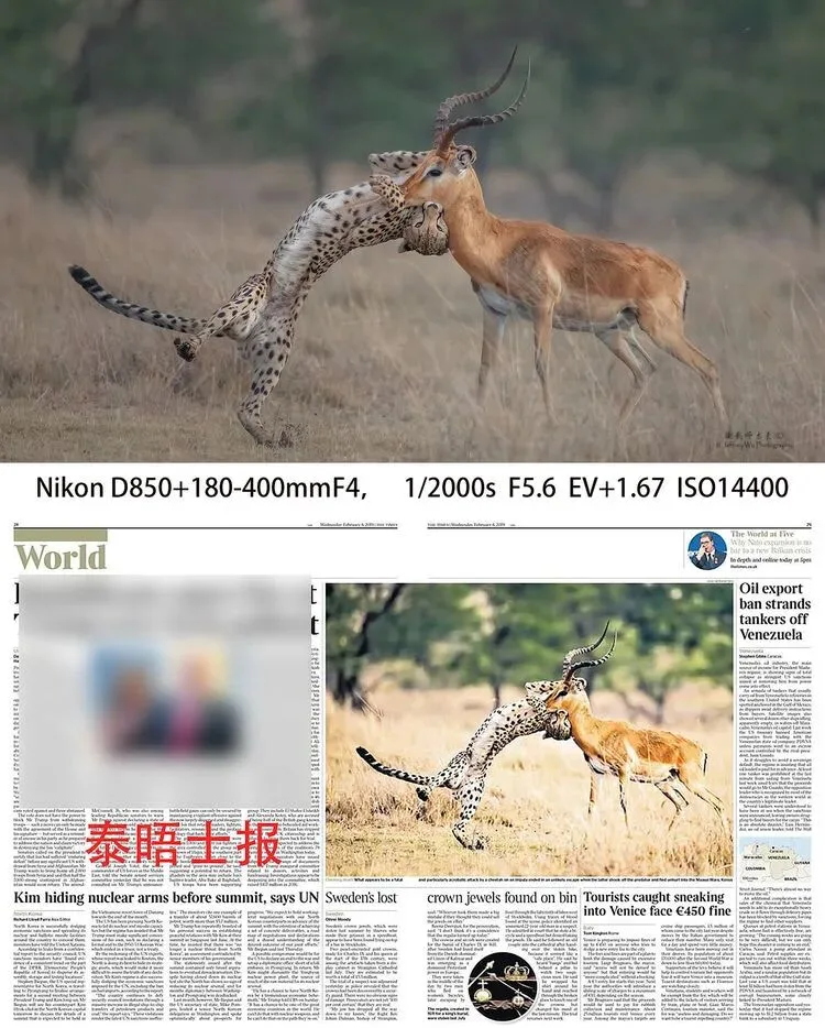 7万高ISO也能出大片？这个降噪技术太厉害了！
