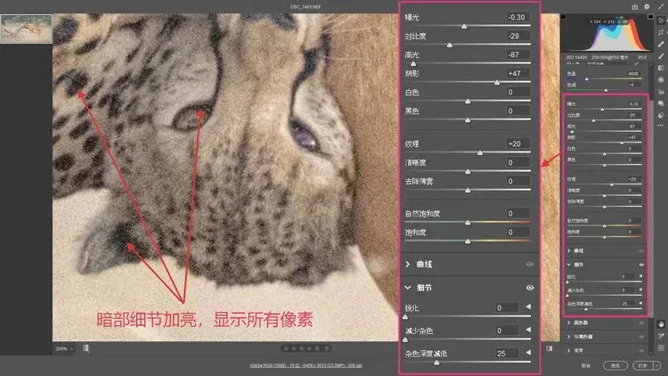 7万高ISO也能出大片？这个降噪技术太厉害了！