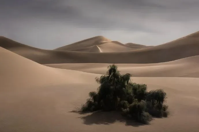 策划思路与拍摄过程揭秘，两位摄影师拍同一场景有何不同？