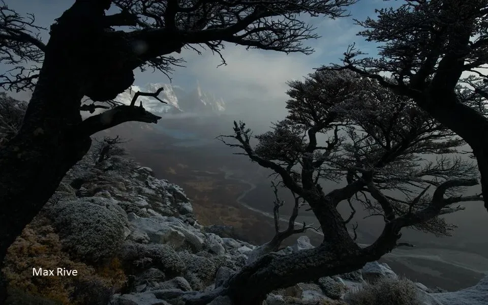 Visual Separation: A Key Concept in Portrait and Landscape Work