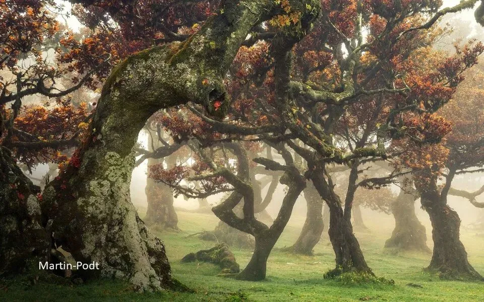 Visual Separation: A Key Concept in Portrait and Landscape Work