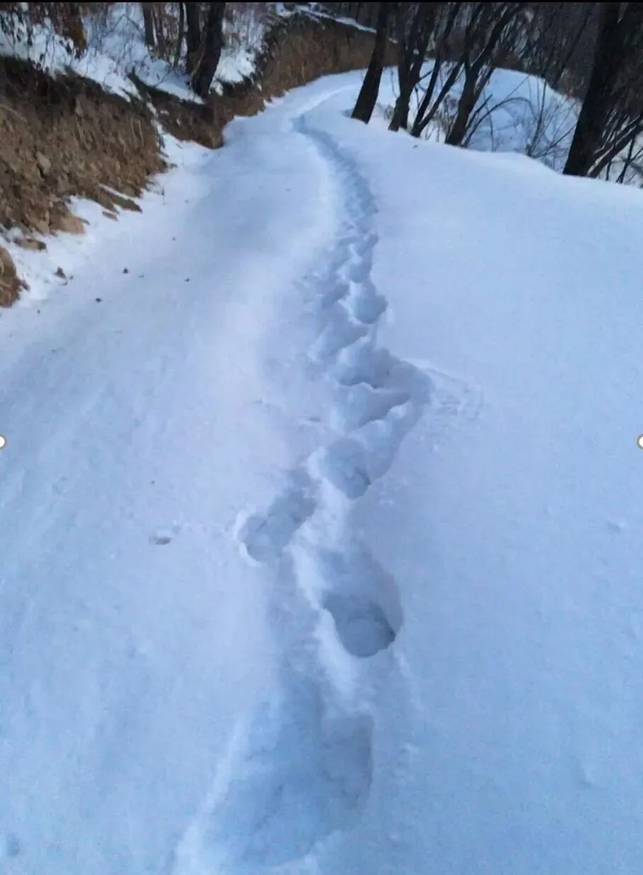 冬季冰雪摄影注意事项！都是花上万块买来的教训。
