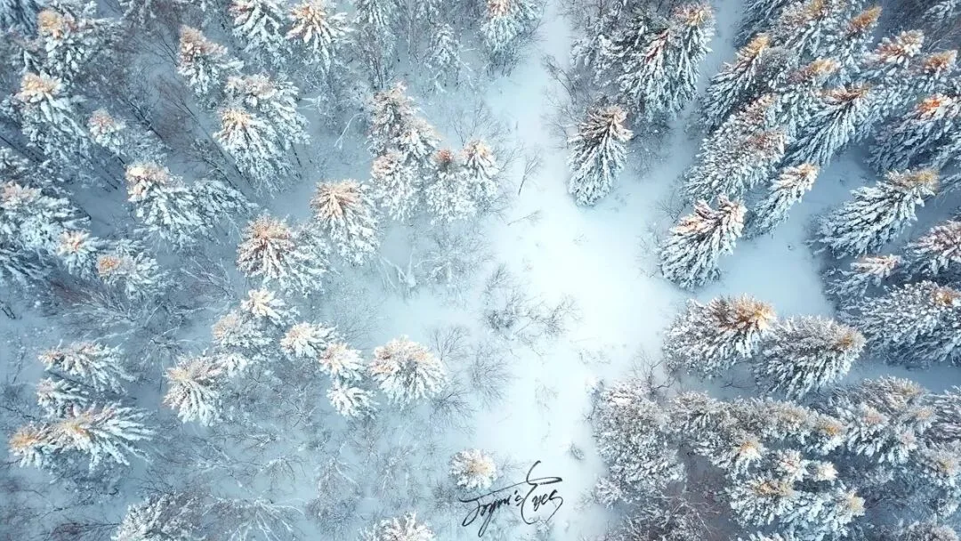 冬季冰雪摄影注意事项！都是花上万块买来的教训。