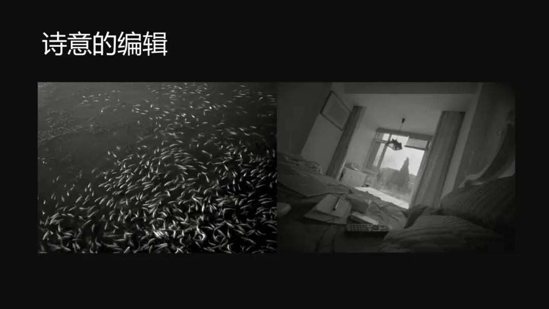 中国摄影师获奖！2024年荷赛精选照片解读、学习与思考！