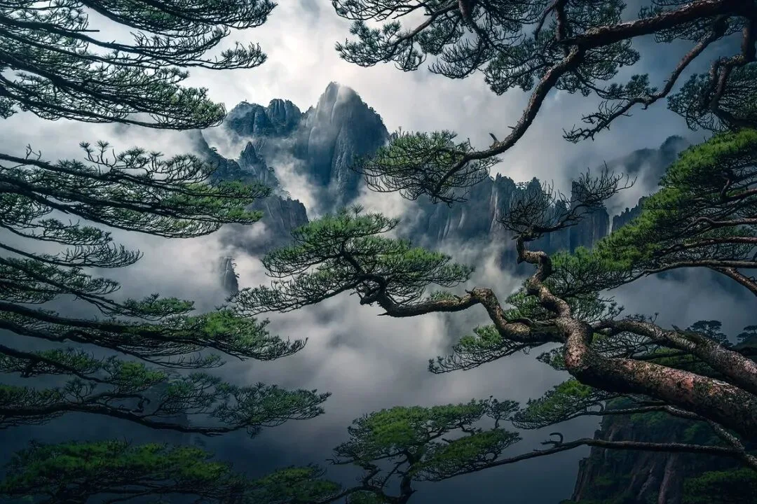 星宿计划结果公布，这些青年摄影师的照片都太强了吧！