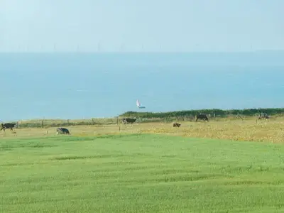 埃特勒塔 实拍