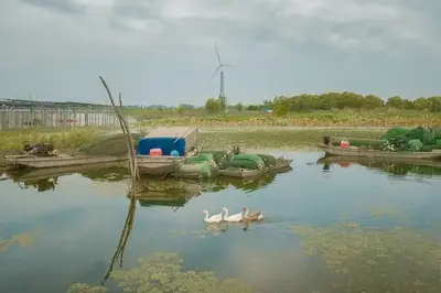泗洪县 实拍
