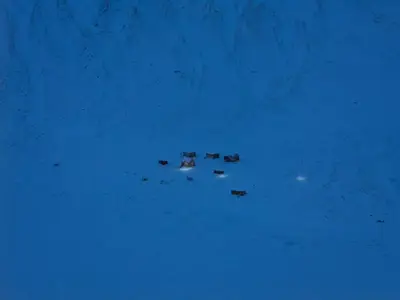 西奥拉帕卢克 实拍