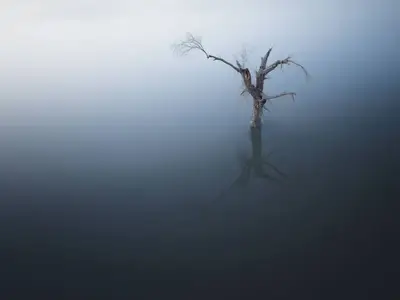 沙雅县 实拍