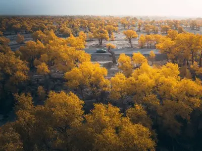 草湖乡 实拍